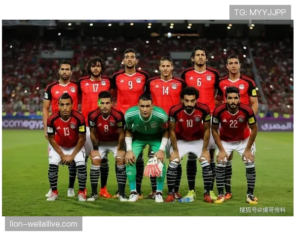 突尼斯冲击2026美加墨世界杯:出线前景与阵容预测 突尼斯冲击2026美加墨世界杯:出线前景与阵容预测